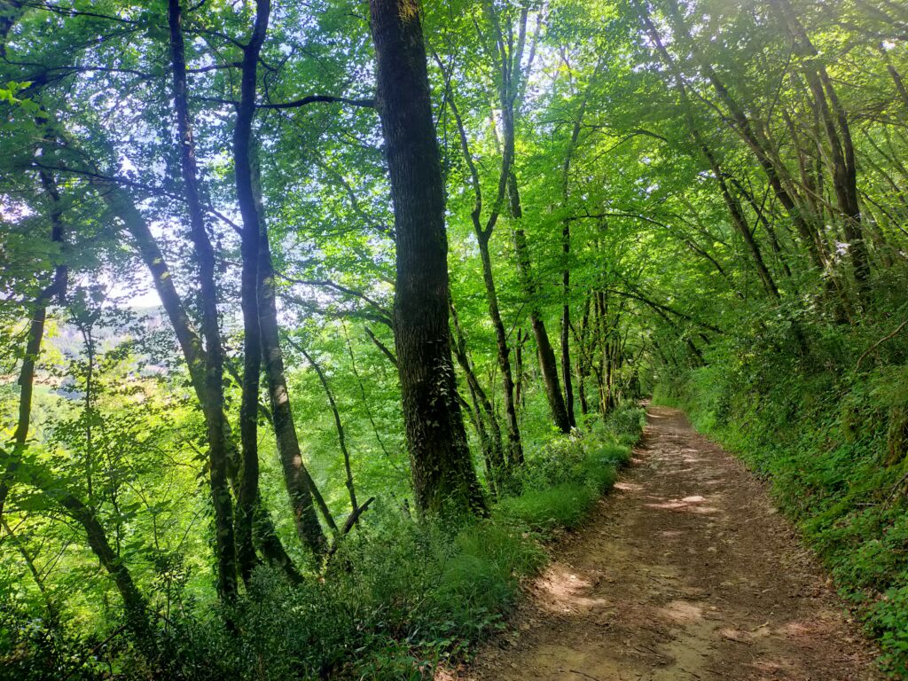 L'implantation de nos GR